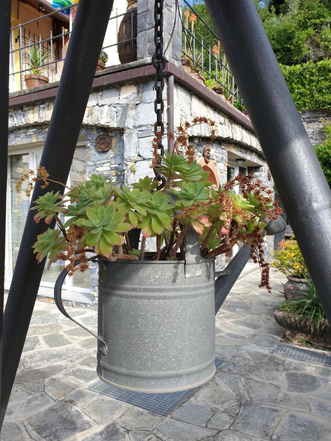B&B Collina E Mare Camogli Zewnętrze zdjęcie