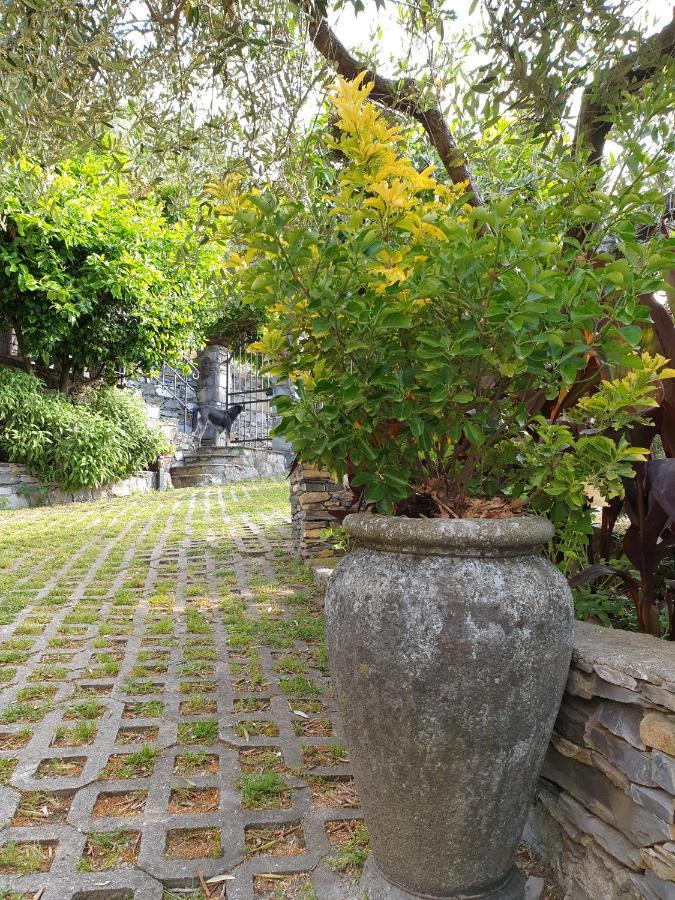 B&B Collina E Mare Camogli Zewnętrze zdjęcie