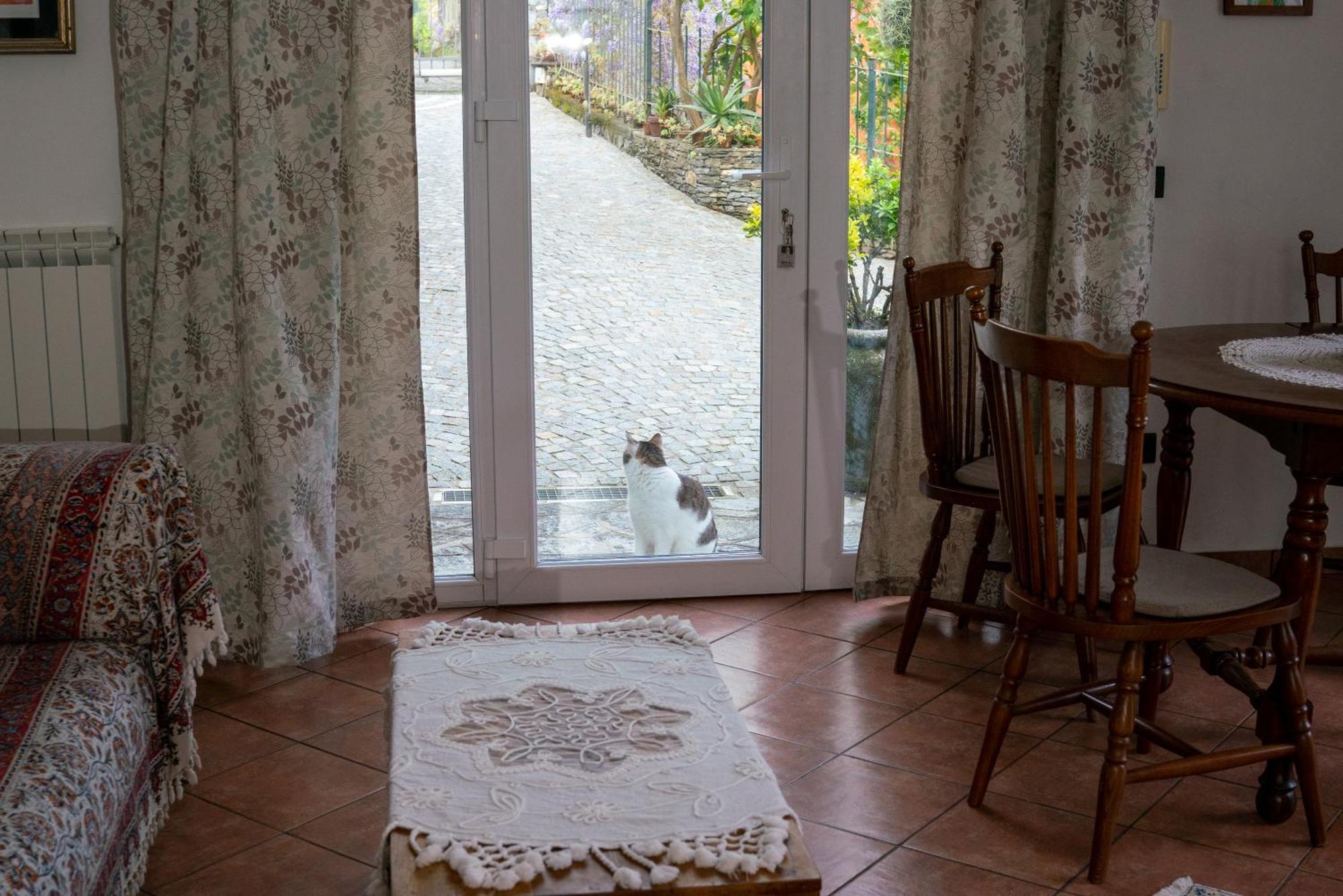 B&B Collina E Mare Camogli Zewnętrze zdjęcie