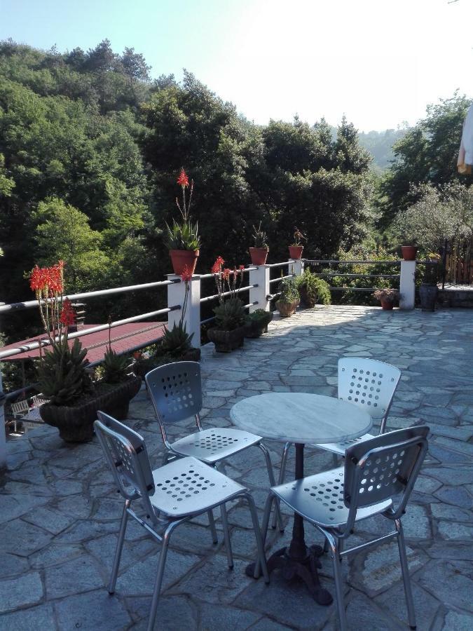 B&B Collina E Mare Camogli Zewnętrze zdjęcie