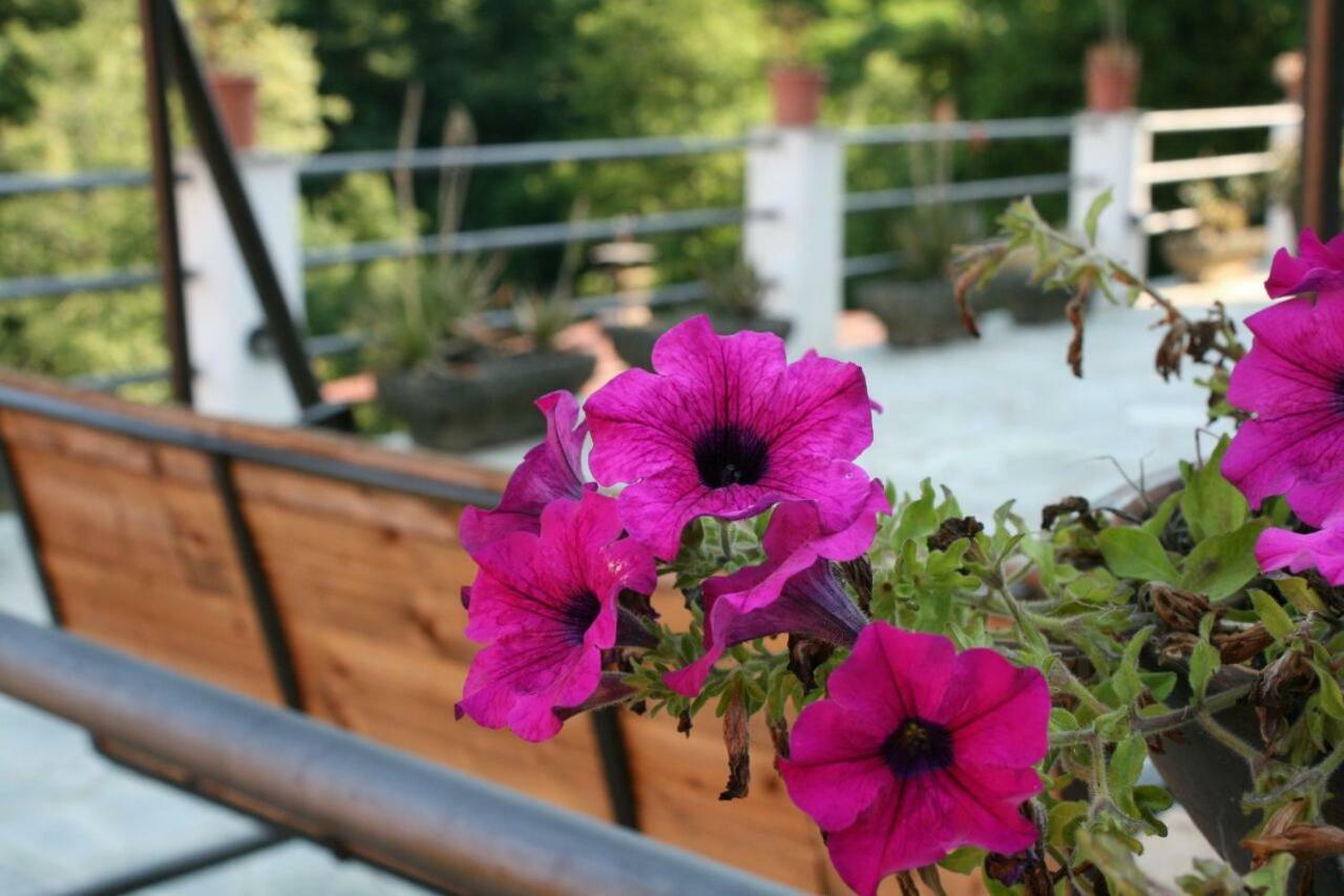 B&B Collina E Mare Camogli Zewnętrze zdjęcie