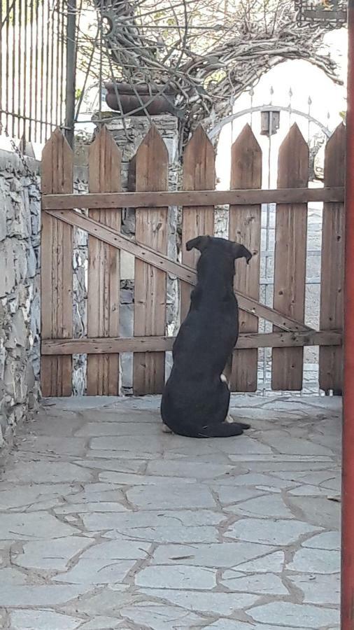 B&B Collina E Mare Camogli Zewnętrze zdjęcie