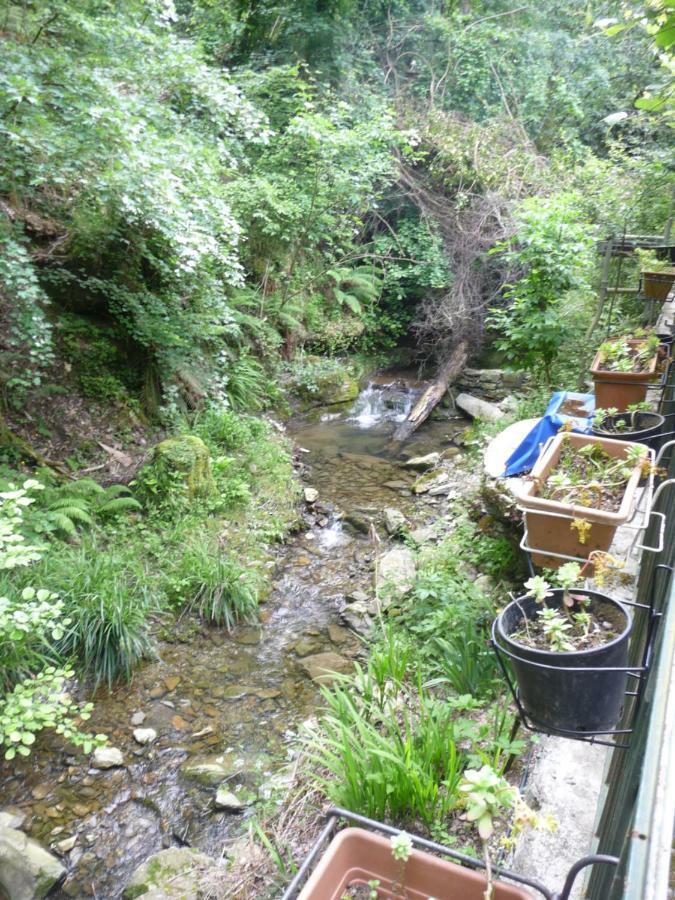 B&B Collina E Mare Camogli Zewnętrze zdjęcie